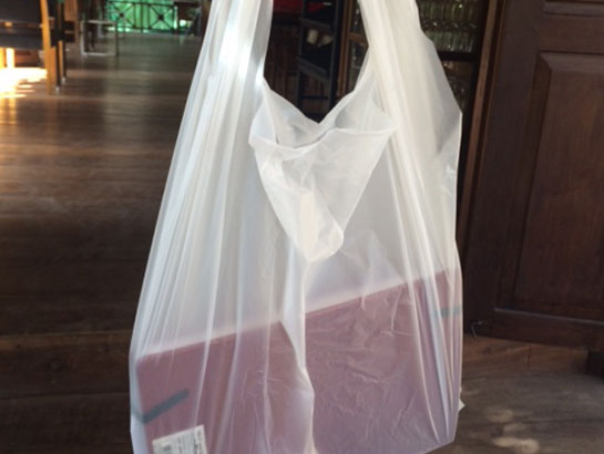 saraherhodes-not-plastic-bag